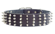 2 inch Leather Dog Collar with STUDS and SPIKES for Cane Corso 2 inch Leather Dog Collar with STUDS and SPIKES for Cane Corso
