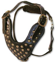 Studded leather dog harnesses for Cane corso- Cane Corso Mastiff Studded leather dog harnesses for Cane corso- Cane Corso Mastiff
