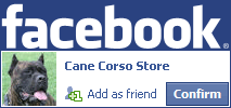 FACEBOOK FACEBOOK