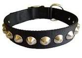 Gorgeous Wide Nylon Dog Collar With Nickle Pyramids Gorgeous Wide Nylon Dog Collar With Nickle Pyramids