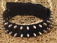 Black Nylon Spiked Dog Collar for CORSO Black Nylon Spiked Dog Collar for CORSO