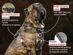 Padded Leather Dog Harness for Agitation Training