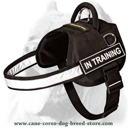 SAR Lightweight Nylon Cane Corso 【Harness】 for Working Dogs : Cane Corso dog  harness, Cane Corso dog muzzle, Cane Corso dog collar, Dog leash