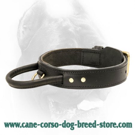 Custom Leather Dog Collar for CANE CORSO - Designer Dog Collar : Mastiff  Breed: Harnesses, Muzzles, Collars, Leashes, Bite Tugs and Toys