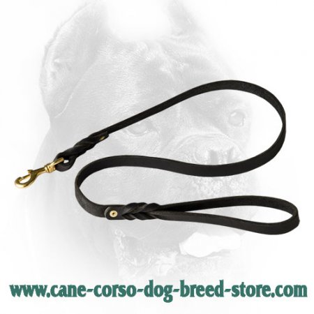 3 foot fashion dog leash