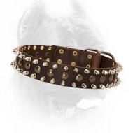 Pin by Asia on Ruff  Studded leather, Black leather collar, Leather dog  collars