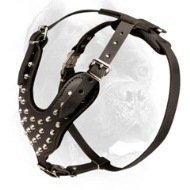 Studded Leather Cane Corso Harness for Daily Walking  Studded Leather Cane Corso Harness for Daily Walking