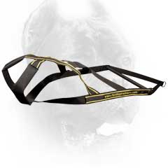 Weight Pulling Nylon Cane Corso Harness  Weight Pulling Nylon Cane Corso Harness