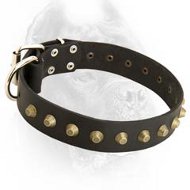 Superior Leather Dog Collar with 4 Rows of Hand Set Studs and Spikes  [S92##1064 4 Rows half spikes and half brass pyramids 2 inch] 