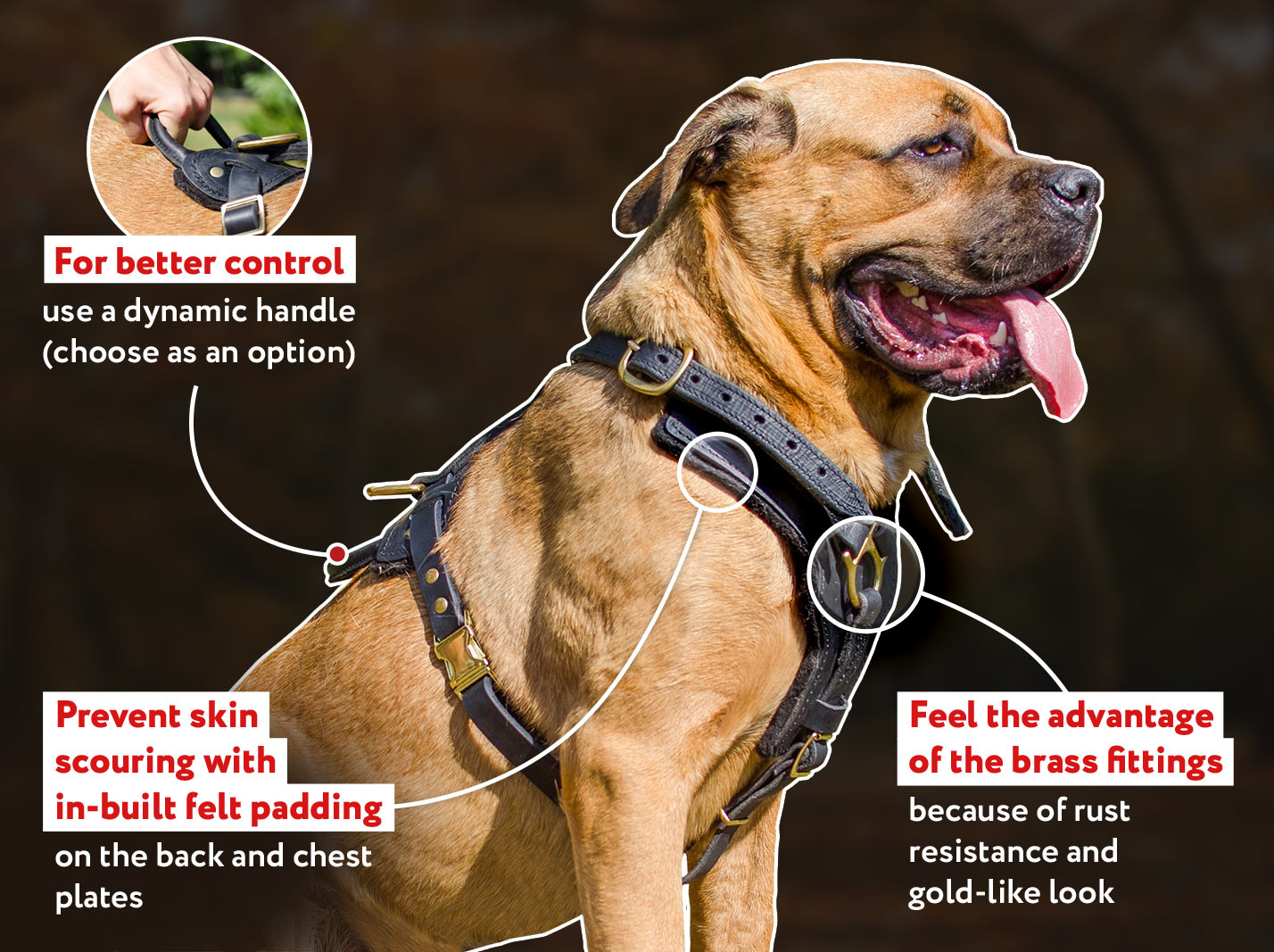 Quick Release Leather Harness, Working Dog Harness