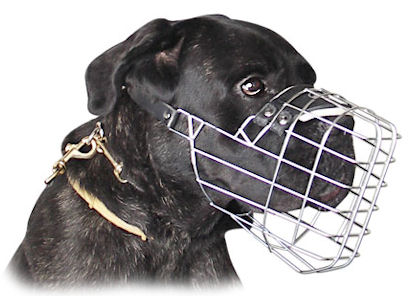 dog muzzle strap