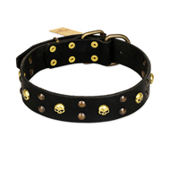 FDT Artisan 'Heavy Metal' Leather Cane Corso 【Collar】 with Skulls and ...