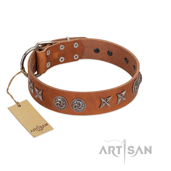 Comfortable wearing dog collar of leather with impressive decorations
