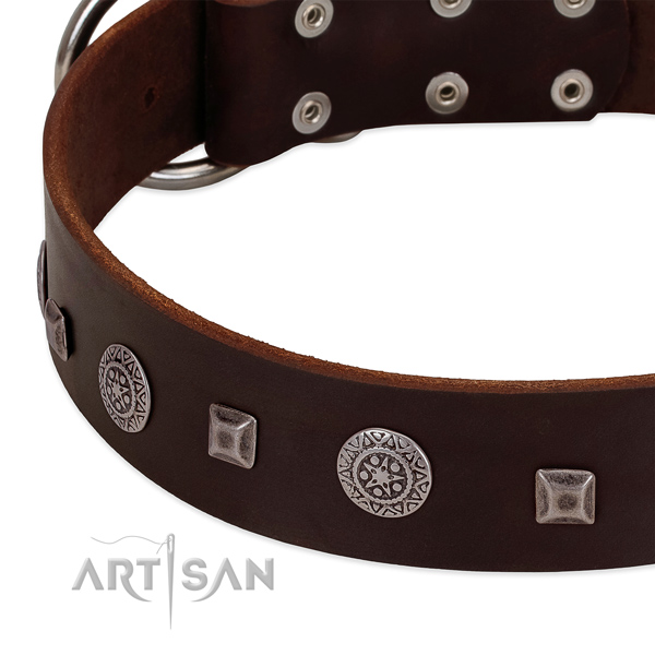 Soft to touch leather dog collar with unique adornments