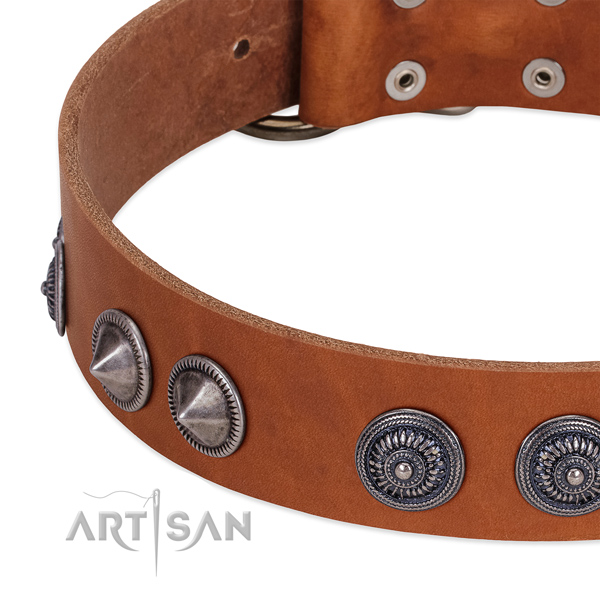 Impressive leather dog collar with rust-proof hardware