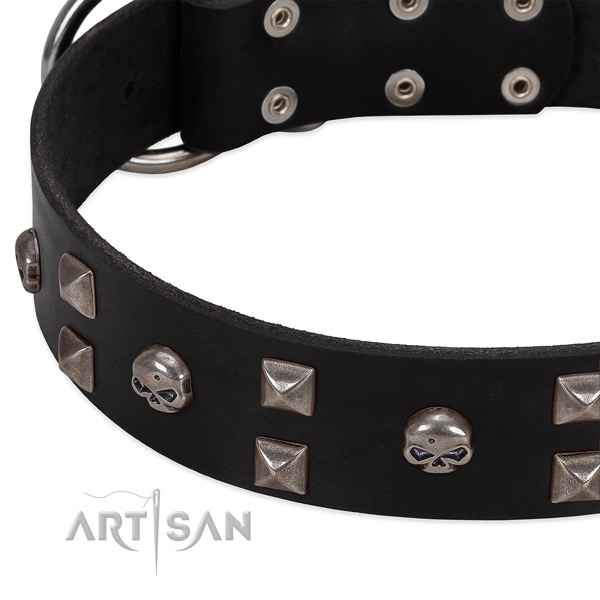 Strong leather dog collar handcrafted for your pet