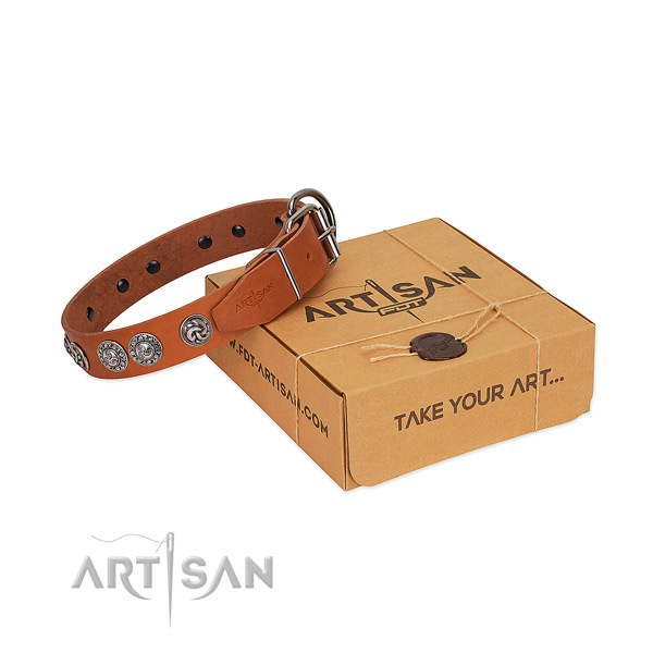 Significant full grain genuine leather collar for your canine stylish walking