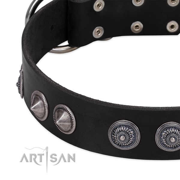 Extraordinary leather dog collar with durable buckle