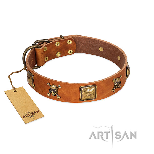 Remarkable full grain natural leather dog collar with rust resistant embellishments