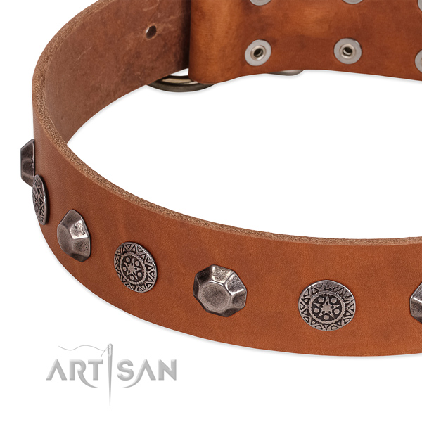 Exceptional leather collar for your four-legged friend everyday walking