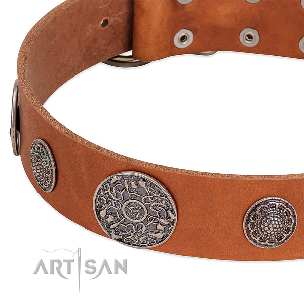 Corrosion resistant fittings on natural genuine leather dog collar