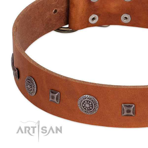 Fine quality full grain genuine leather collar with studs for your four-legged friend