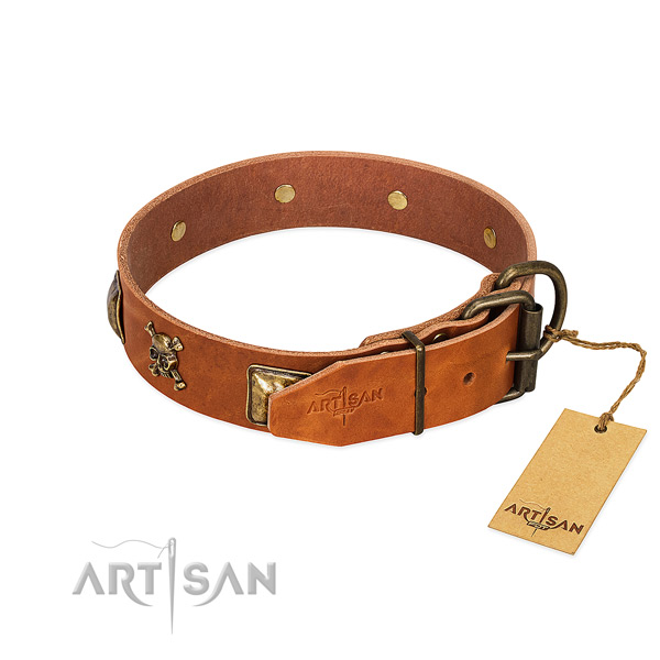 Significant full grain genuine leather dog collar with rust-proof studs