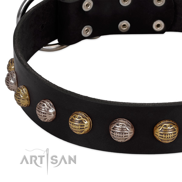 Leather dog collar with corrosion resistant traditional buckle and embellishments