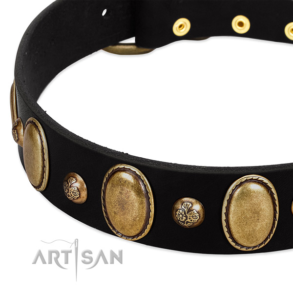Full grain natural leather dog collar with inimitable studs