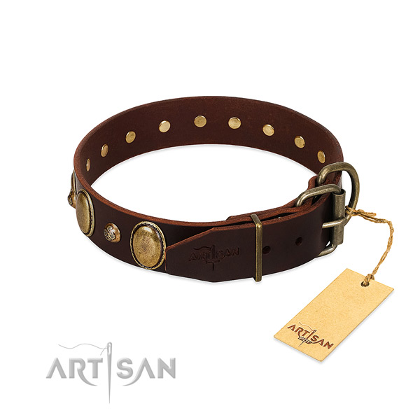 Strong hardware on genuine leather collar for walking your canine