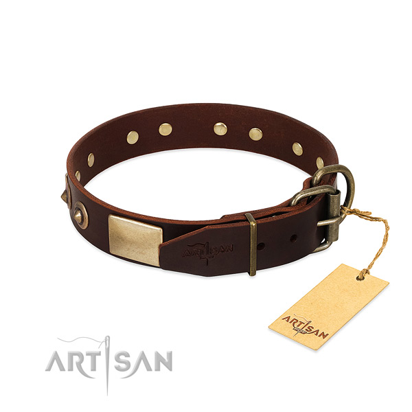 Rust resistant decorations on everyday walking dog collar