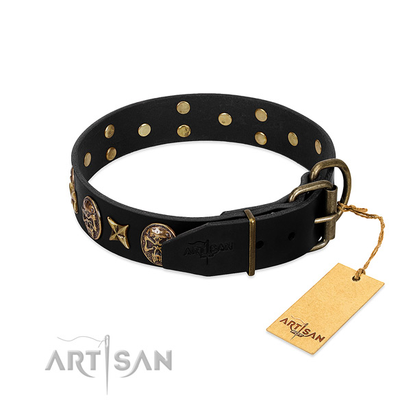 Strong adornments on genuine leather dog collar for your four-legged friend