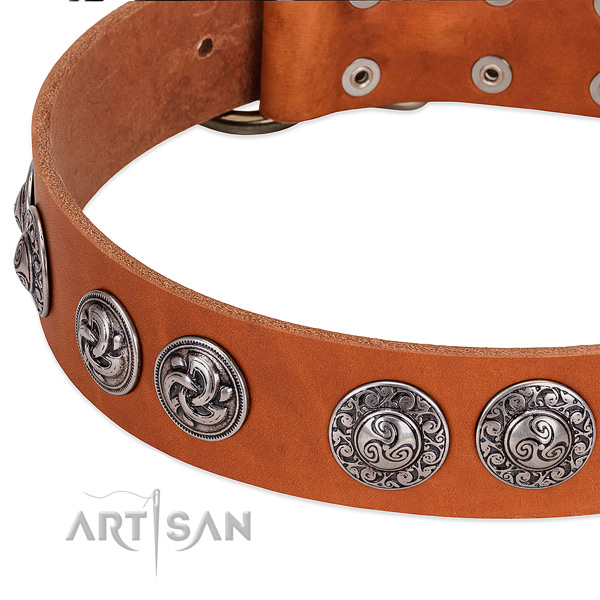 Stylish full grain genuine leather dog collar for comfortable wearing