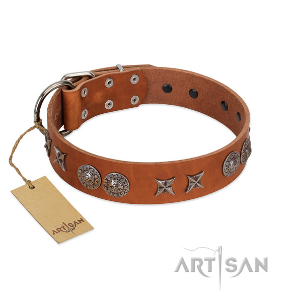 Full grain natural leather collar with fashionable adornments for your canine