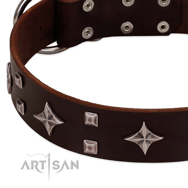 Inimitable leather dog collar for everyday walking