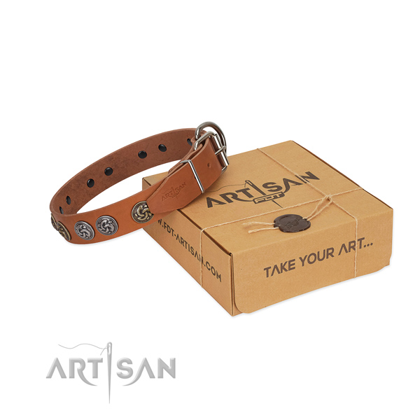 Full grain natural leather collar with remarkable embellishments for your four-legged friend