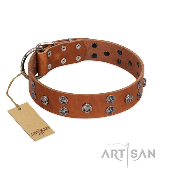 Top rate leather dog collar with embellishments for comfy wearing