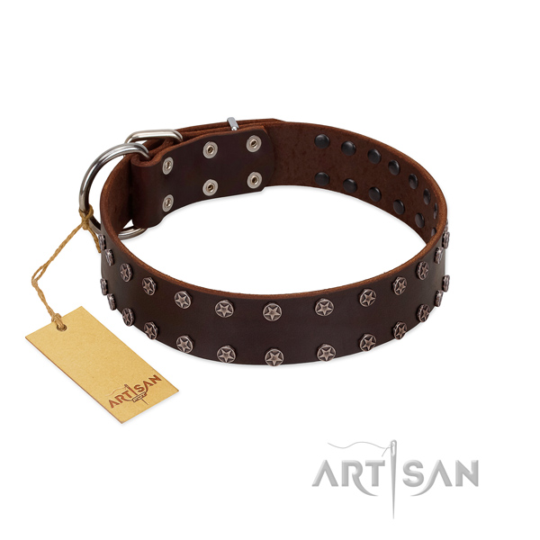Everyday walking full grain genuine leather dog collar with designer embellishments