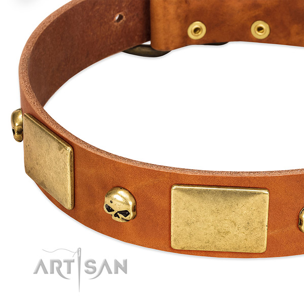 High quality full grain leather dog collar with rust resistant D-ring