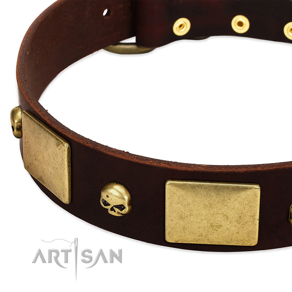 Reliable full grain natural leather collar with rust resistant decorations for your pet