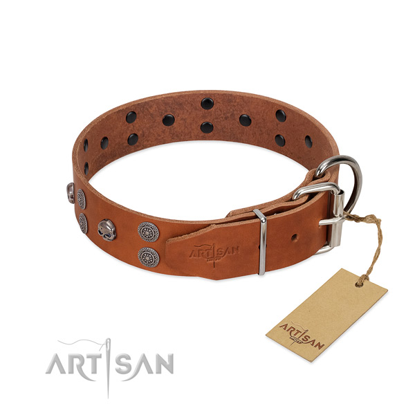 High quality leather dog collar with adornments for everyday use