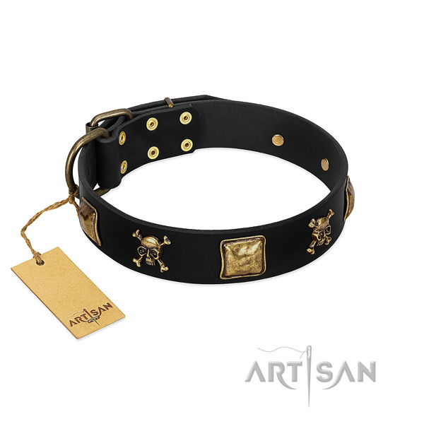 Quality full grain natural leather dog collar with significant embellishments