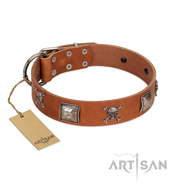 Remarkable dog collar handmade for your stylish pet
