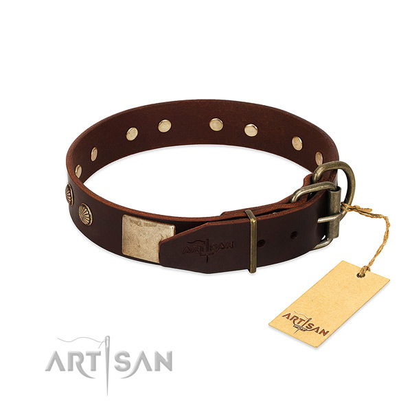 Strong traditional buckle on everyday walking dog collar