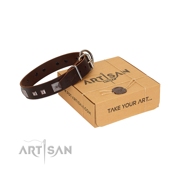 Incredible leather collar with adornments for your doggie