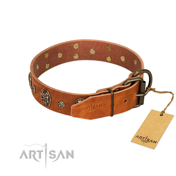 Rust resistant traditional buckle on full grain leather dog collar for your pet