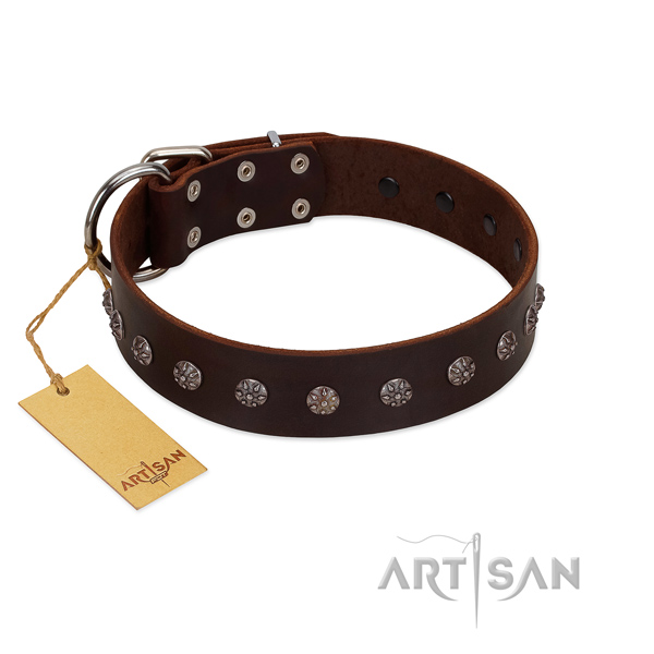 Comfy wearing full grain leather dog collar with designer decorations