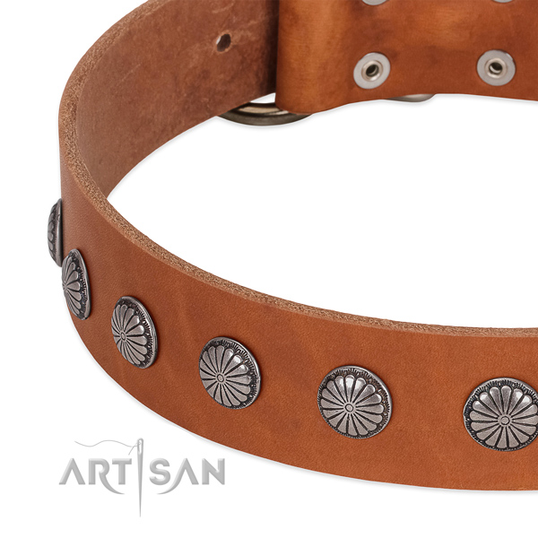 Gentle to touch full grain genuine leather dog collar with studs for stylish walking