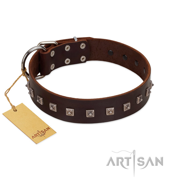 Stylish adorned full grain natural leather dog collar