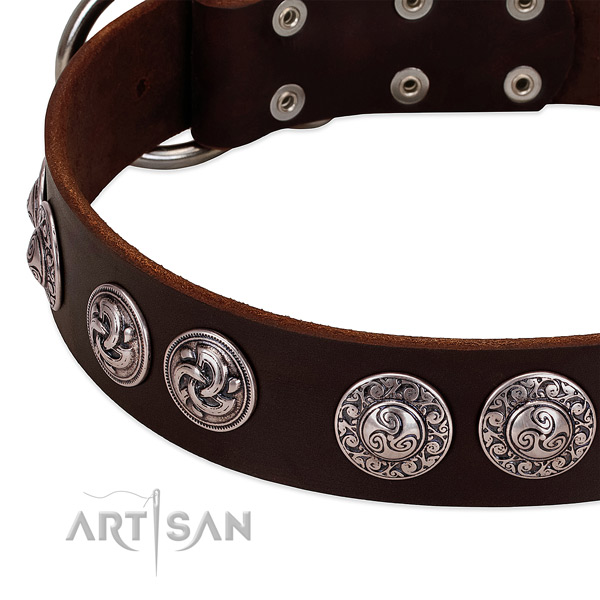 Remarkable full grain natural leather collar for your canine everyday walking